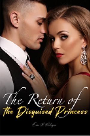 The Return of the Disguised Princess The Return of the Disguised Princess